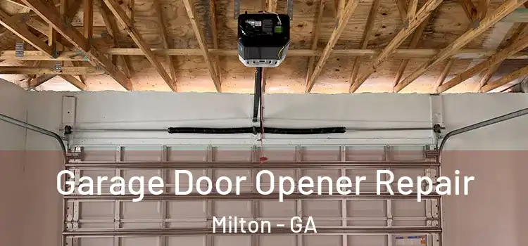  Garage Door Opener Repair Milton - GA