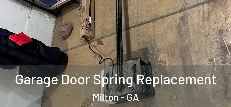  Garage Door Spring Replacement Milton - GA